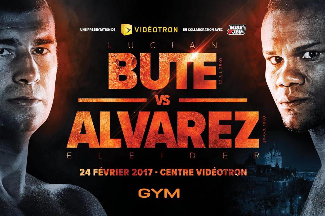 Bute-Alvarez : qui sortira vainqueur&nbsp;?